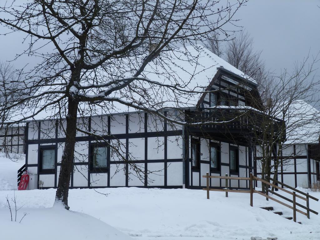 House Of Rootz Villa Frankenau Eksteriør billede